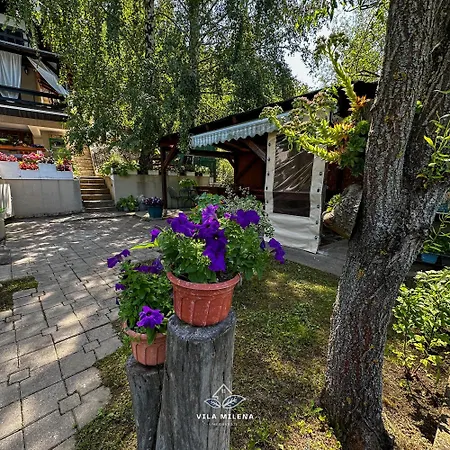 Milena Holiday home *