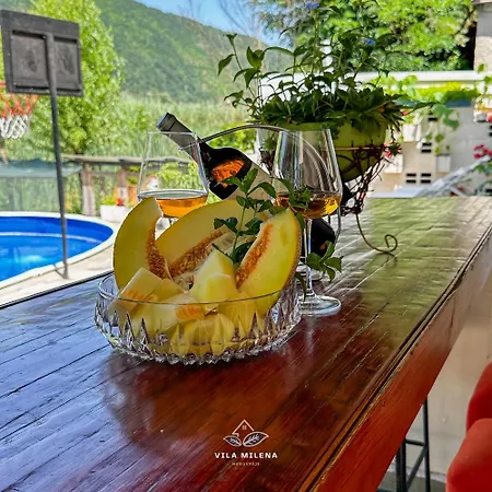 Holiday home Milena Meduvrsje